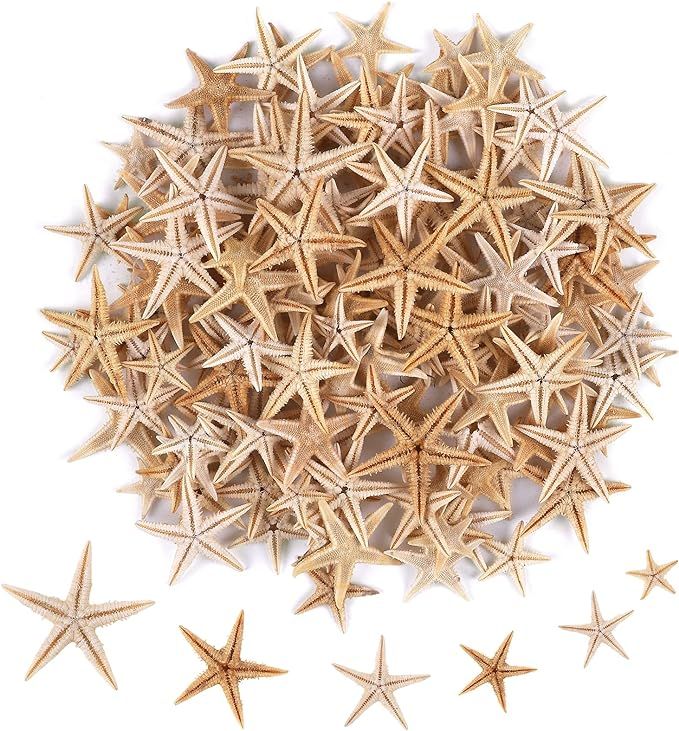 100 Pcs Small Starfish Star Sea Shell Beach for Craft 0.4"-1" | Amazon (US)