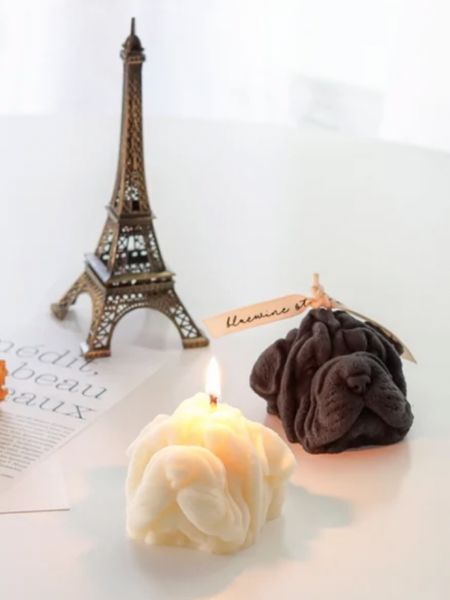 Cutest little dog candles from etsy! Would make such a cute christmas gift


gift guide , etsy , gifts for her , gifts for him , candles , small business , holiday party , christmas , gift , christmas gift , home decor #LTKhome

#LTKGiftGuide #LTKstyletip #LTKunder50