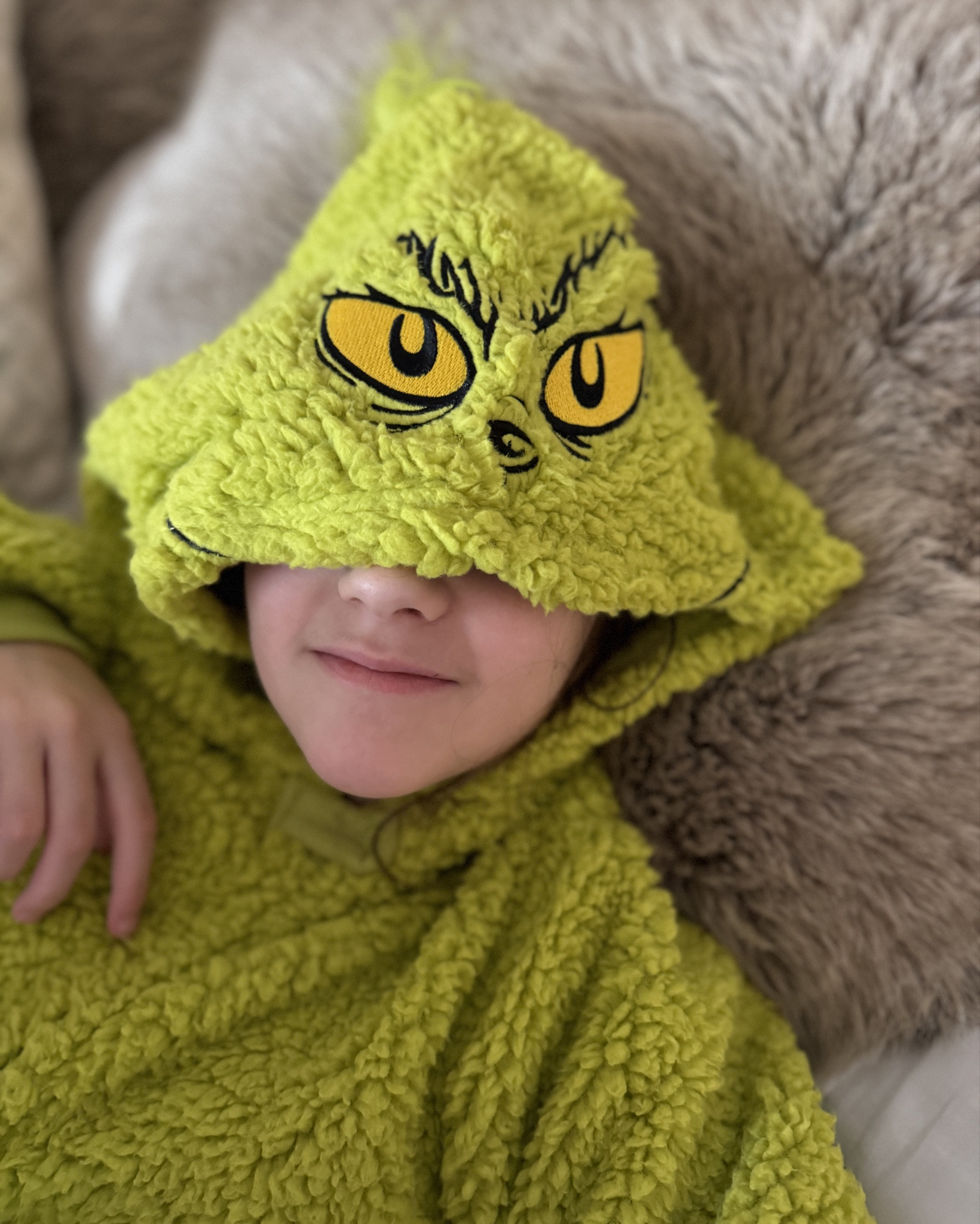 Dr. Seuss GRINCH Who Stole Christmas Matching Family Pajama Sherpa Union Suit - Adult, Child, Toddler, Pets | Grinch Pajamas | Grinch Onsie | Gift Ideas | Holiday Must Have 

#LTKParties #LTKHoliday #LTKGiftGuide