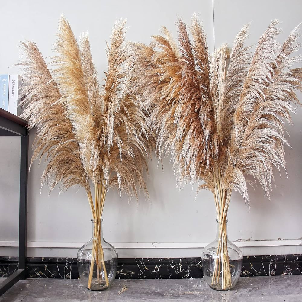 46" inch 10 Stems Natural Pampas Grass Decor Tall, Pompas Grass, Tall Pampas Grass for Weddingm, ... | Amazon (US)