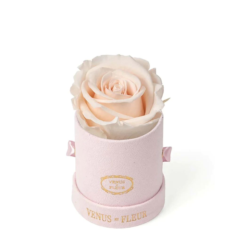 Le Mini™ Round - Blush Suede with Eternity Roses | Venus ET Fleur