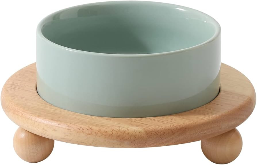 Ceramic Elevated Cat Food and Water Bowl, Kitty Bowl, Raised Cat Dish, Cat Feeder (5.1 in,1 x Lig... | Amazon (US)