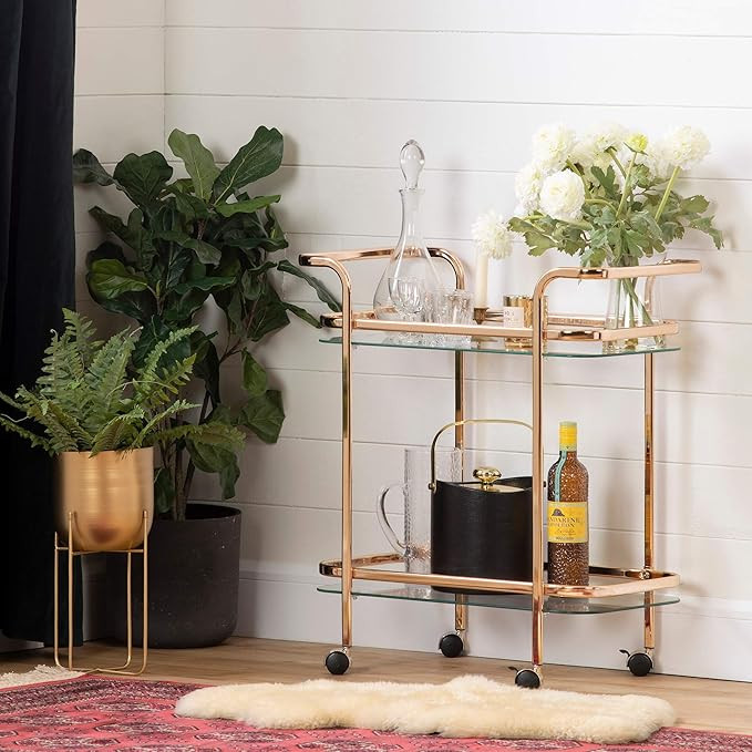 South Shore Maliza Bar Cart-Gold and Glass | Amazon (US)