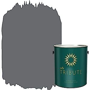 KILZ TRIBUTE Interior Matte Paint and Primer in One, 1 Gallon, Motor Gray (TB-38) | Amazon (US)