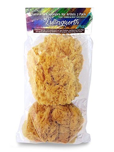 Natural Sea Sponges for Artists - Unbleached 5"-5.5" 2pc Value Pack: Great for Painting Decorating T | Amazon (US)