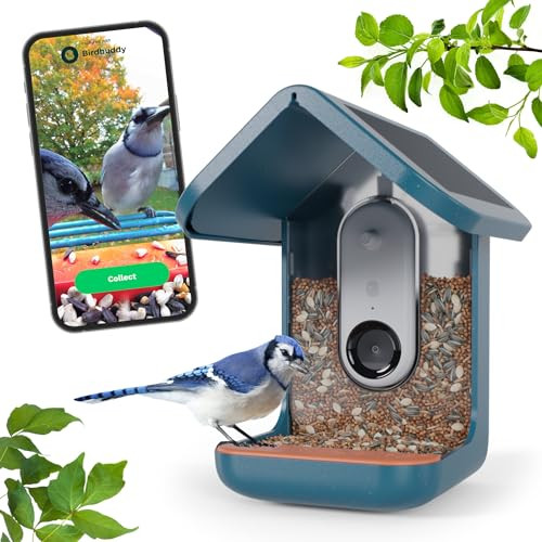 BIRD BUDDY® Original Smart Bird Feeder with Camera - Solar Powered Charging, AI Bird Species Identification, 5MP Photos, 1080p HD Video Live Stream Camera, 2.8in Focus | Amazon (US)