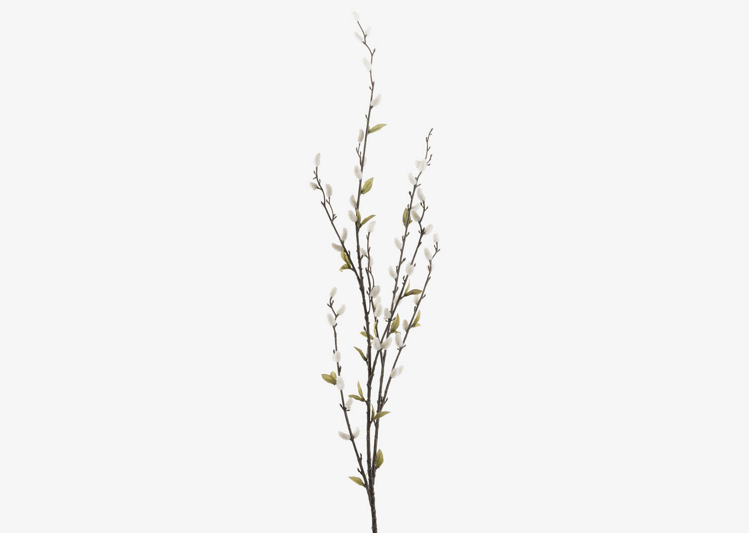 Jessa Pussy Willow Branch White | Urban Barn