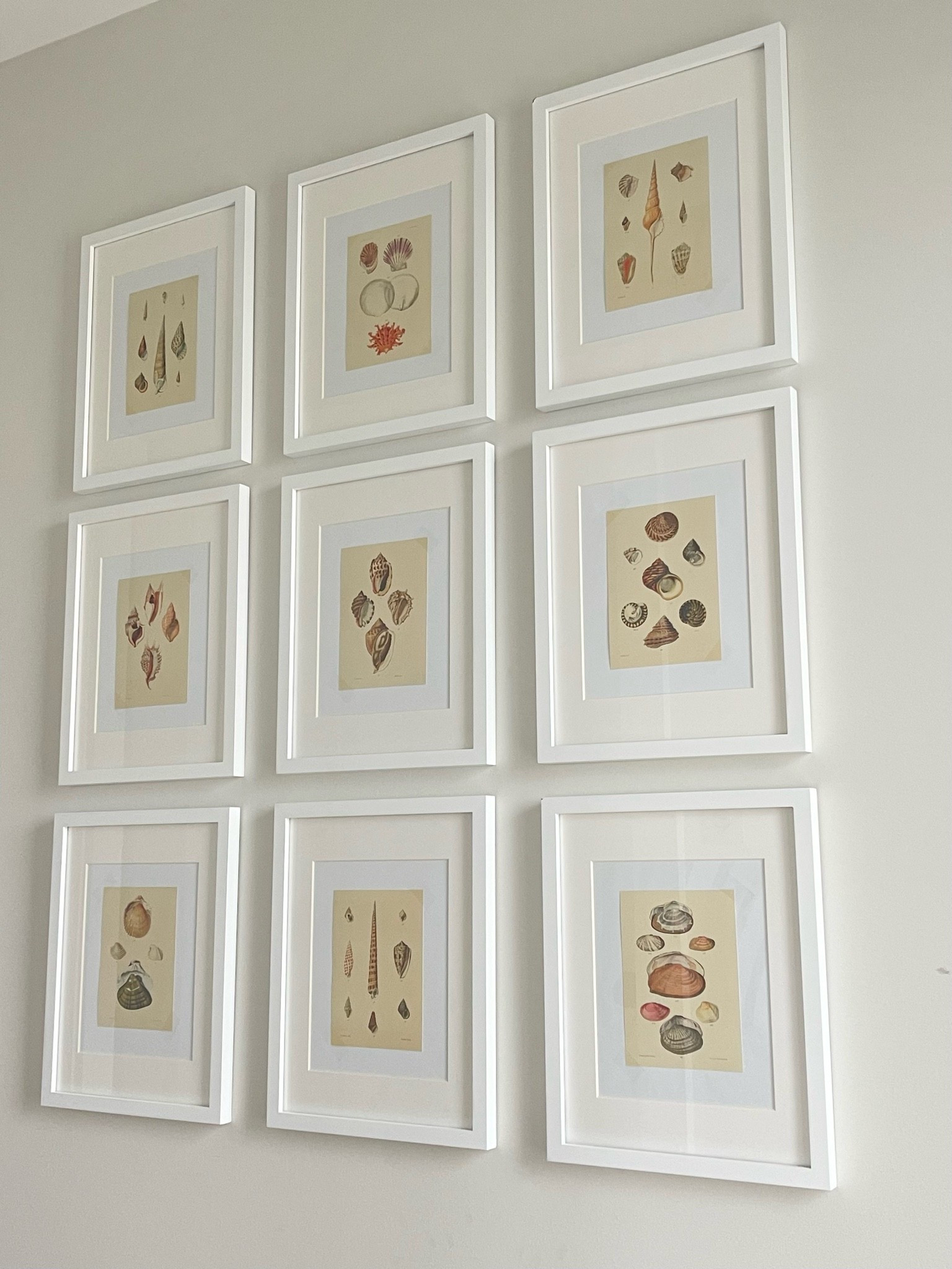 Rainy day MDW and we got some DIY affordable art hung as a gallery wall!! 

What I used:
Amazon Shell prints are 5x7, taped to 8x10 computer paper, hung on Target 11x14 matted to 8x10 white frames

#LTKHome