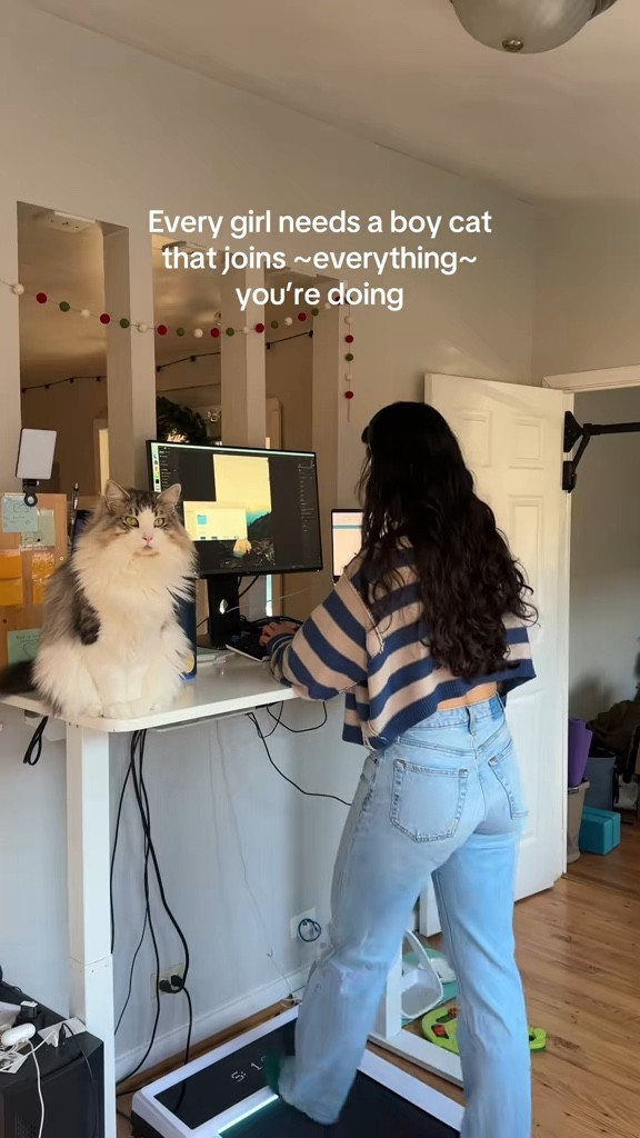 Standing desk set up!!

#LTKGiftGuide #LTKHoliday #LTKActive