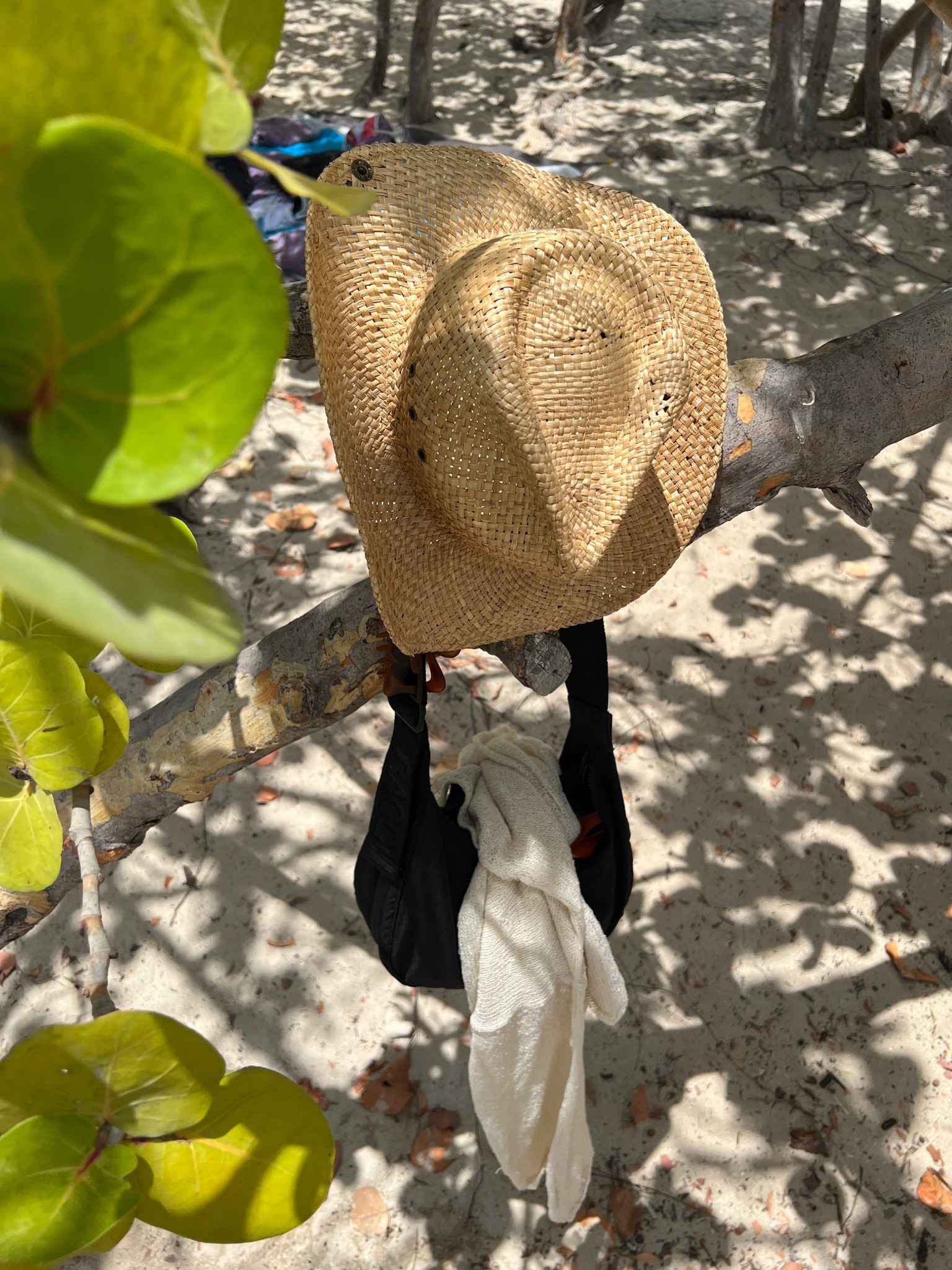 The best travel bag there ever was 🌙🩷

I used this bag for a Disney trip, a universal trip and now a cruise trip. This was the bag I took off the boat with me for all of our port stops!

Travel bag, personal day bag, Disneyland purse, amusement park bag, pool and beach day bag, universal studios bag,

#LTKTravel #LTKItBag #LTKFindsUnder100