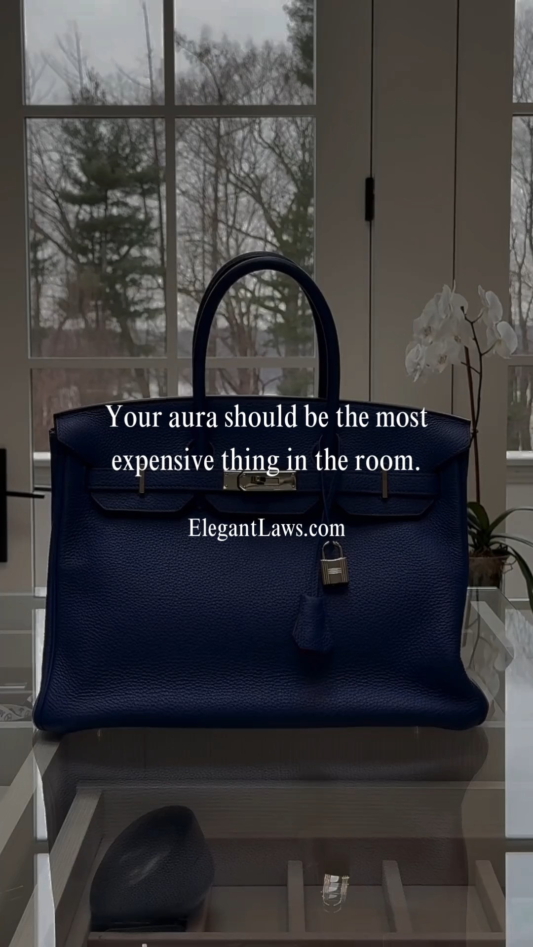 📩 Download The Elegant Laws FREE→ https://elegantlaws.com 

 #LTKValentine #LTKdayinmylife #LTKgrwm