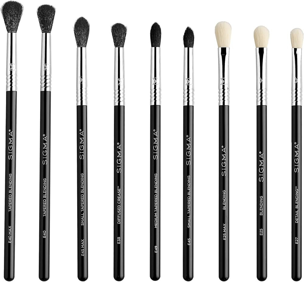 Sigma Beauty Deluxe Blending Brush Set – Professional Grade Eyeshadow Brush Set with 9 Full Siz... | Amazon (US)