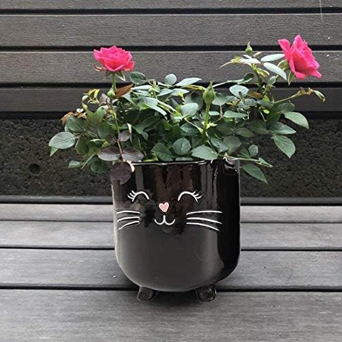 Amazon.com : SparkDazzle Black Cat Planter | Succulent Planter | House Plant Pot | Cat Lovers Gif... | Amazon (US)