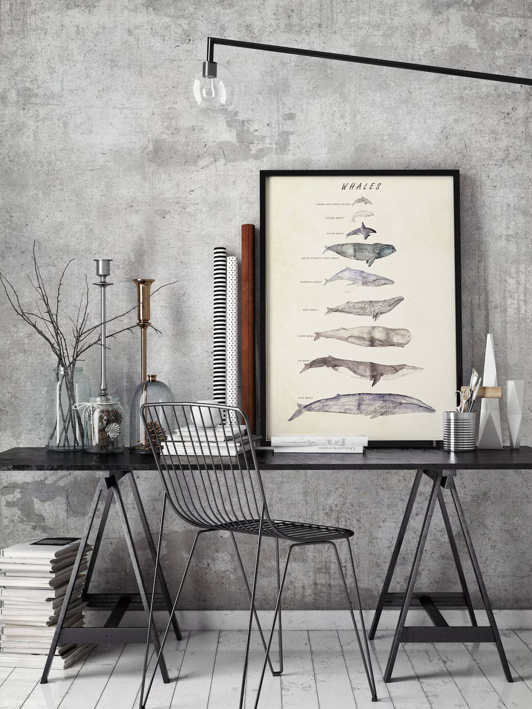 Whales, Whale Illustration, Whale Print, Nautical Decor, Marine Art, Picture Whales,whale Species... | Etsy (US)