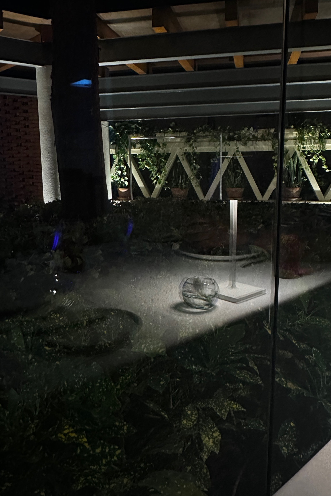 Travel Essentials for every solo travel 

#LTKPlusSize #LTKTravel