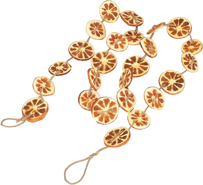 RAZ Imports 2022 Holiday in Provence 5.5' Orange Slice Garland | Amazon (US)