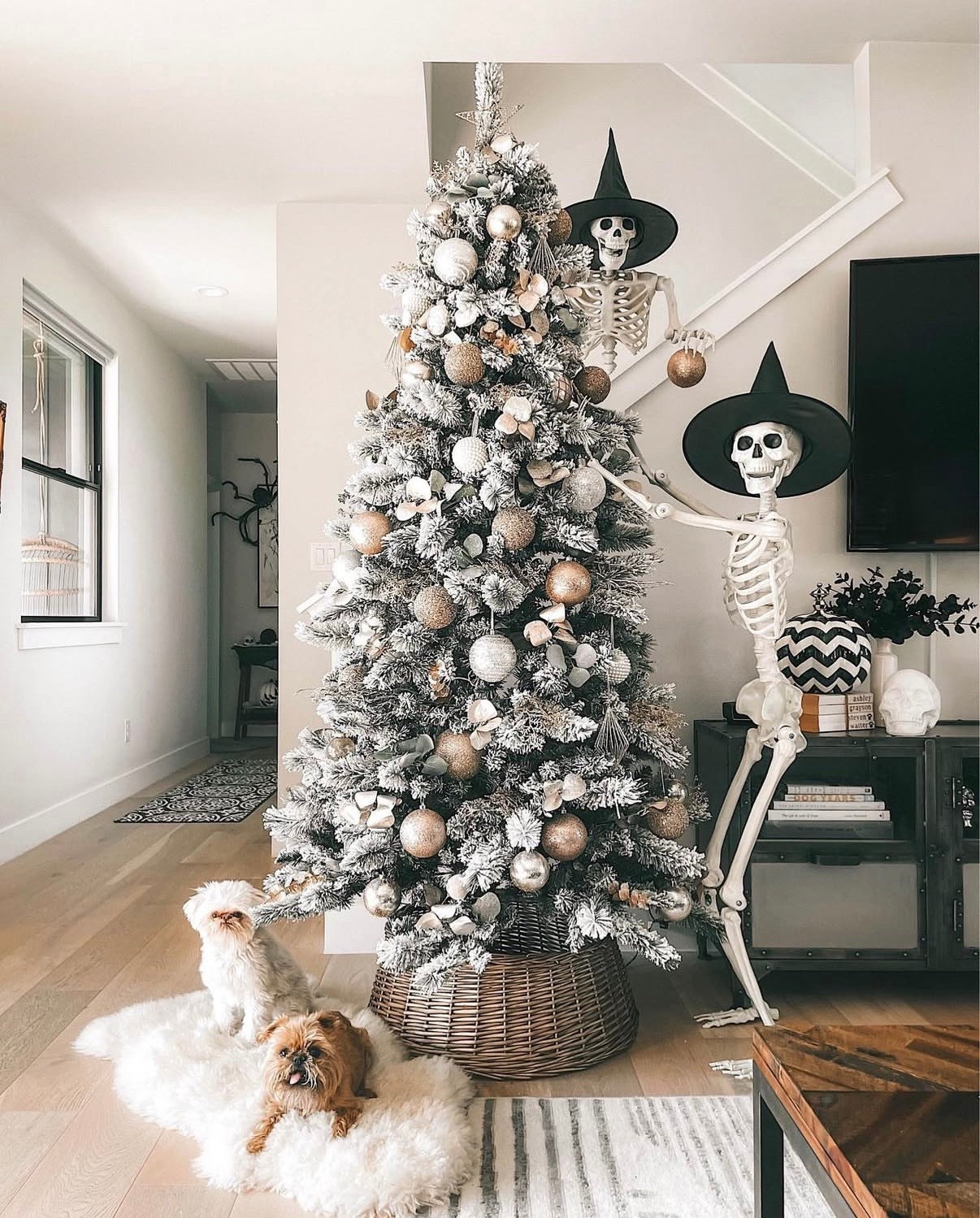 Linked my 7.5 foot flocked Christmas tree, ornaments and skeletons. 

Christmas decor

#LTKHoliday #LTKHome #LTKSeasonal