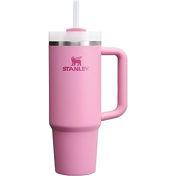 Stanley Quencher H2.0 FlowState Stainless Steel Vacuum Insulated Tumbler with Lid and Straw for W... | Amazon (US)