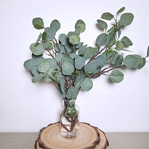 Winlyn 3 Pcs Artificial Eucalyptus Leaves Sprays Faux Seeded Silver Dollar Eucalyptus Leaves Bran... | Amazon (US)