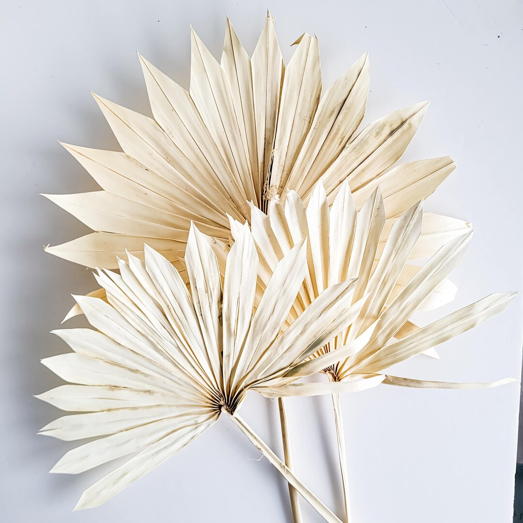 Large Dried Palm, White Palm Leaf, Floral Supplies, Centrepiece, Boho Leaf, Boho Home Decor - Ets... | Etsy (US)