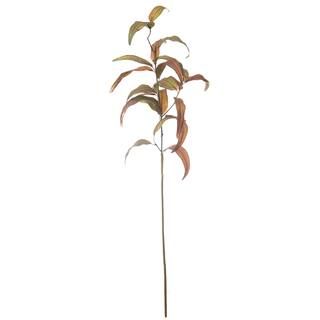 Orange Willow Eucalyptus Stem by Ashland® | Michaels Stores