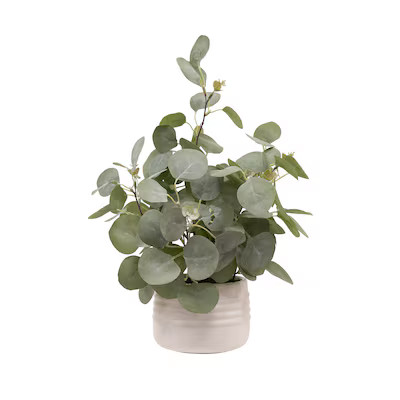 allen + roth 16-in Green Indoor Desktop Eucalyptus Artificial plant | Lowe's