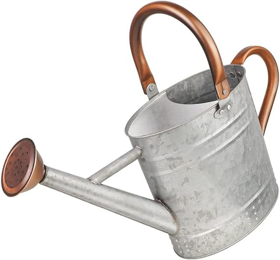 Megawodar 1 Gallon Metal Watering Can with Removable Spout, Nice Galvanized Steel Water Can with ... | Amazon (US)