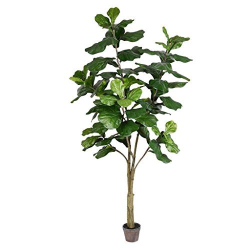 Vickerman 525616-7' Potted Fiddle Tree 89Lvs (TB180284) Generic Home Office Tree | Amazon (US)