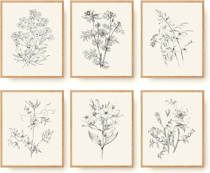 Roslynity Vintage Botanical Wall Art Prints Set of 6 Plant Floral Sketches Prints Art Posters Ret... | Amazon (US)