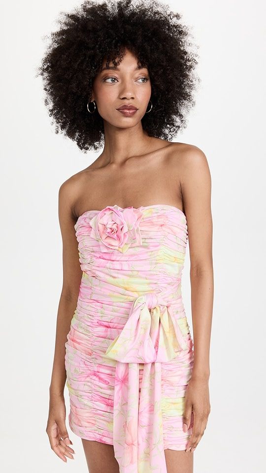 Nerra Mini Ruched Dress | Shopbop