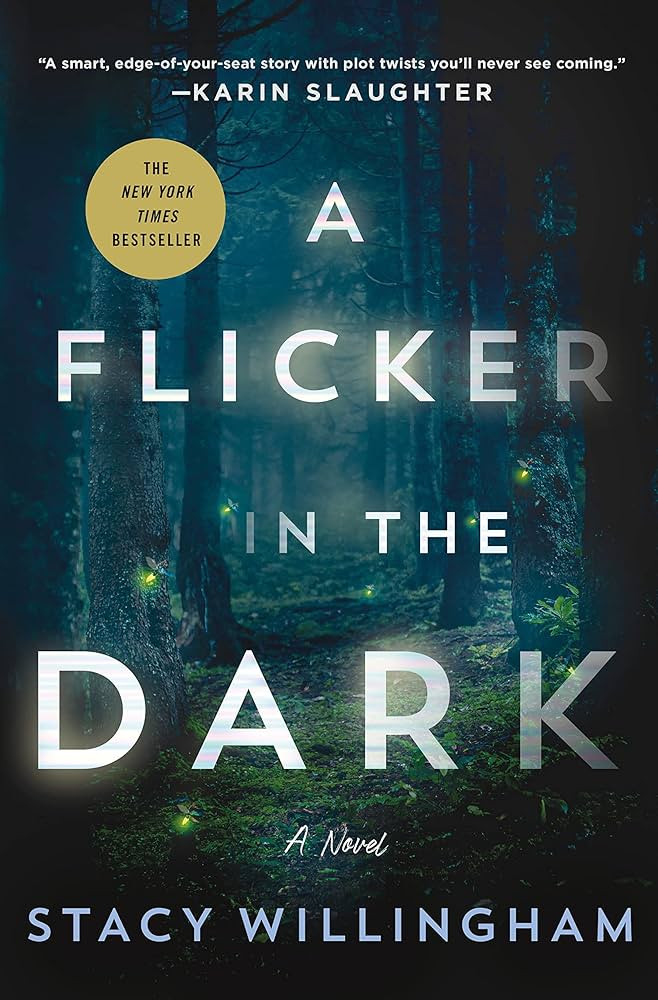 A Flicker in the Dark: A Novel | Amazon (US)