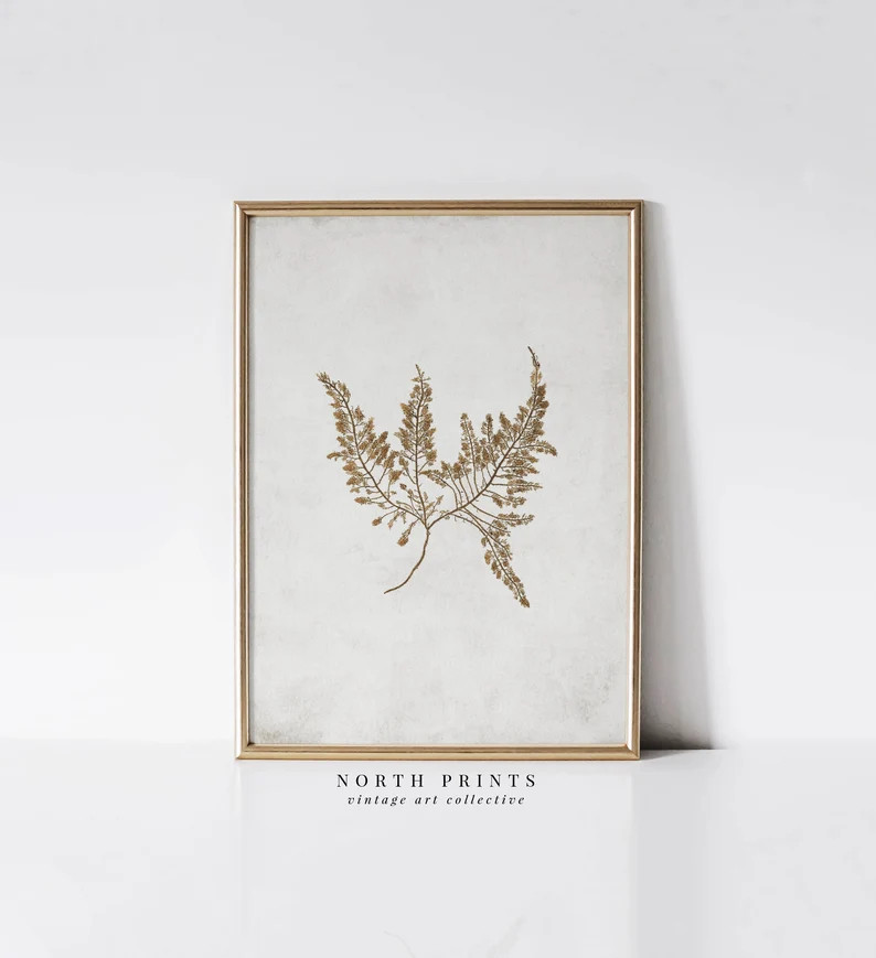 Vintage Fern Wall Art  Neutral Botanical Print  Farmhouse | Etsy | Etsy (US)