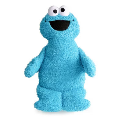Jay Franco Sesame Street Cookie Monster Fuzzy Pillow Buddy | Target