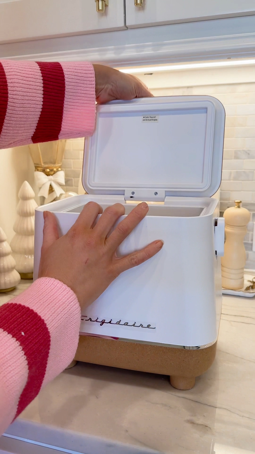 The best Christmas gift idea mini fridge for road trips! 