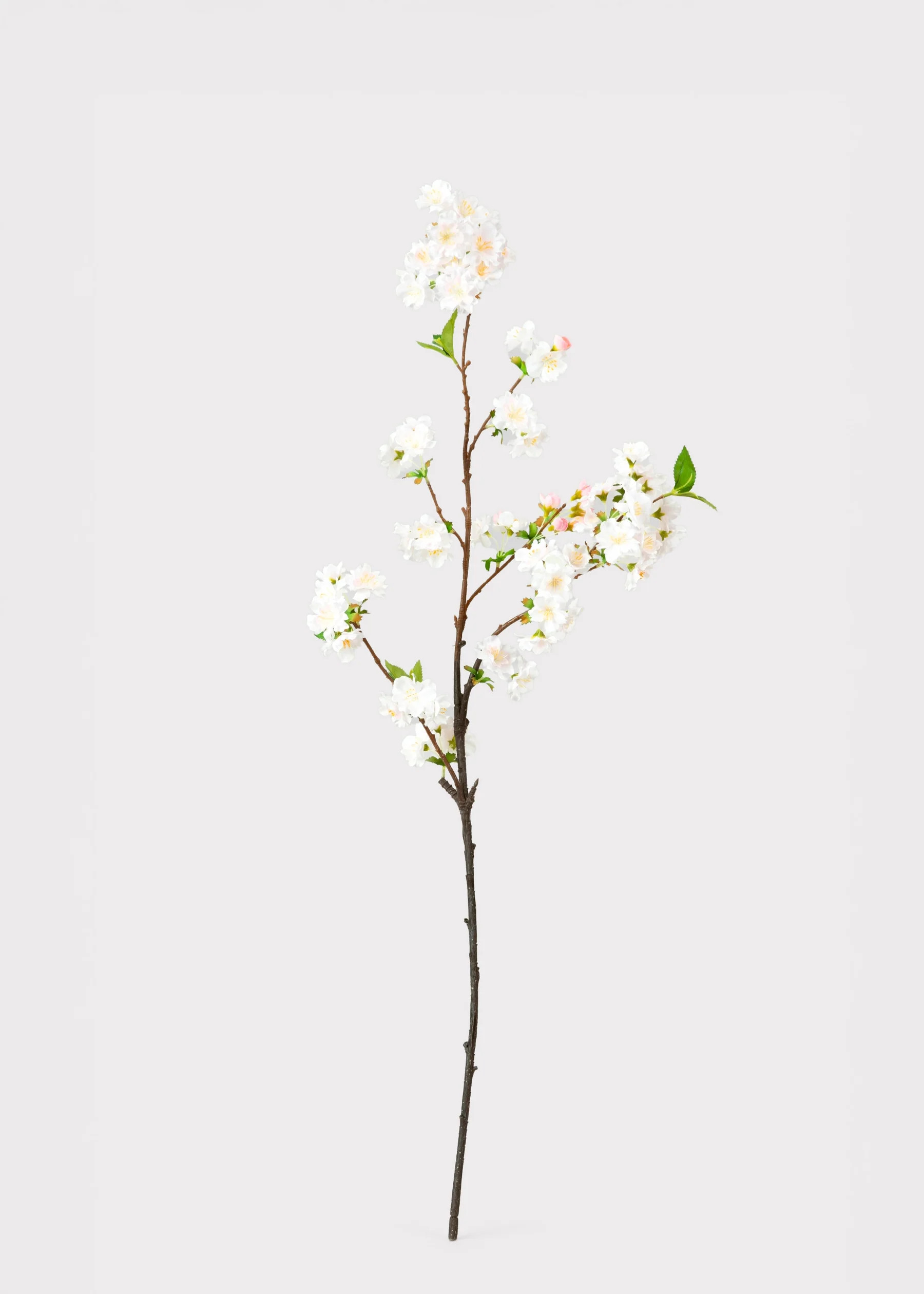 Cherry Blossom Branch in Blush | Faux Spring Flowers | Afloral | Afloral
