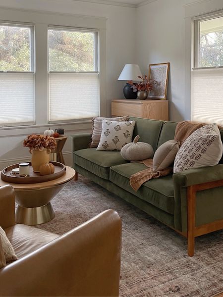 Fall tv room/den refresh with cozy seasonal pillows and decor! 