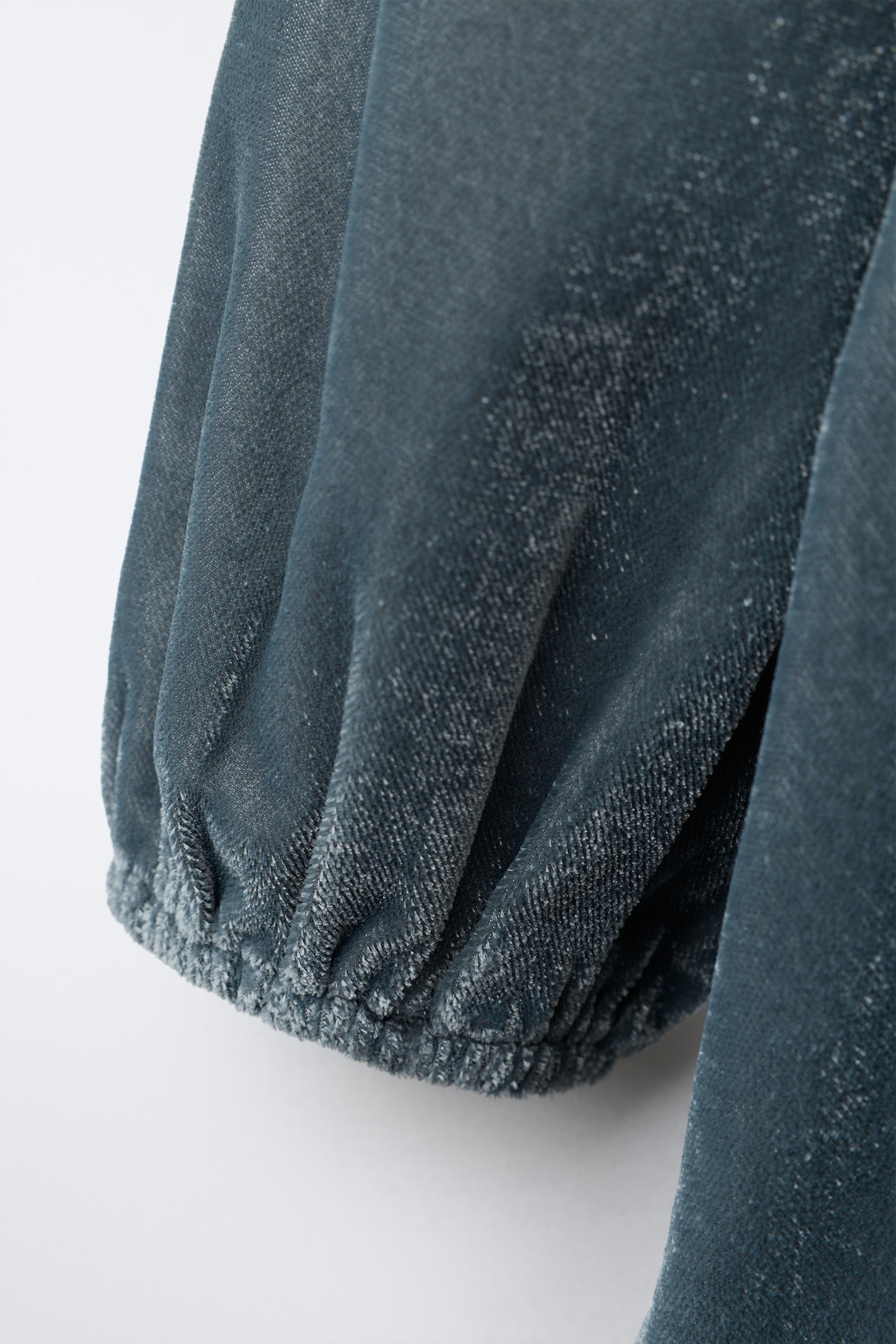 EMBROIDERED VELVET DRESS | Zara US