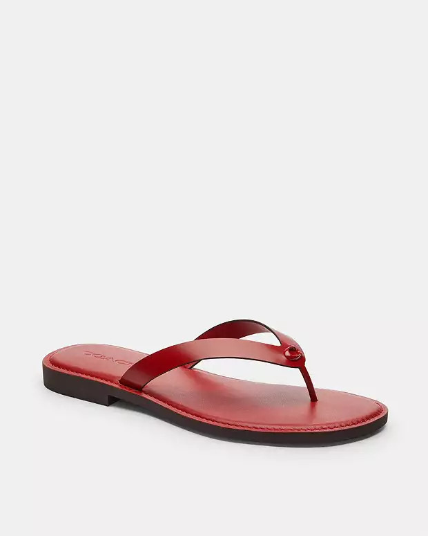 Brianna Flip Flop | Coach (US)