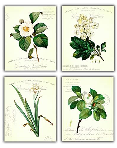 Vintage French White Floral Mix Set No.21 Wall Art Prints - Set of 4 8x10 UNFRAMED Antique Cottag... | Amazon (US)