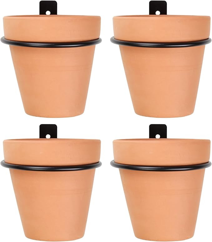 Darware Metal Wall Ring Planters with Pots (4-Pack, 8-Piece Set); Wall Mounted Clay Pots with Hol... | Amazon (US)