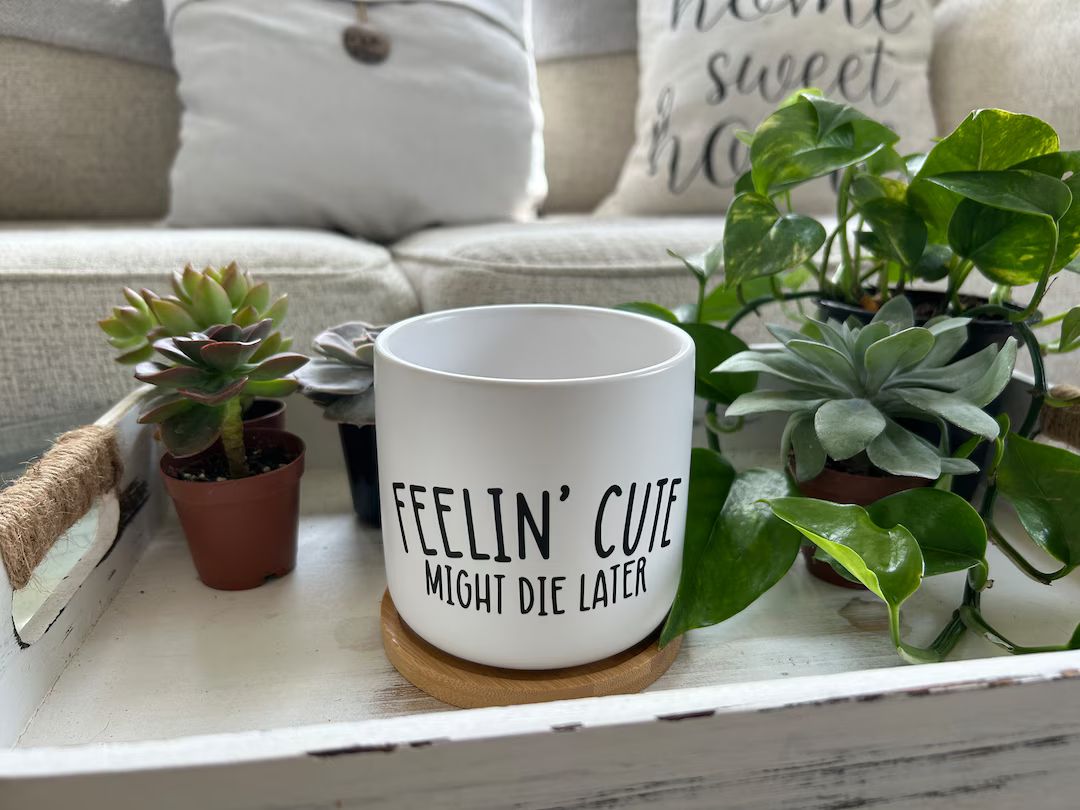 Feelin' Cute Might Die Later Funny Planter Plant Pot Funny Planters Funny Plant Saying 4 White Ce... | Etsy (US)