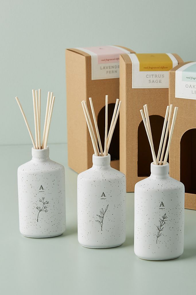 Hive & Wick Ceramic Reed Diffuser | Anthropologie (US)