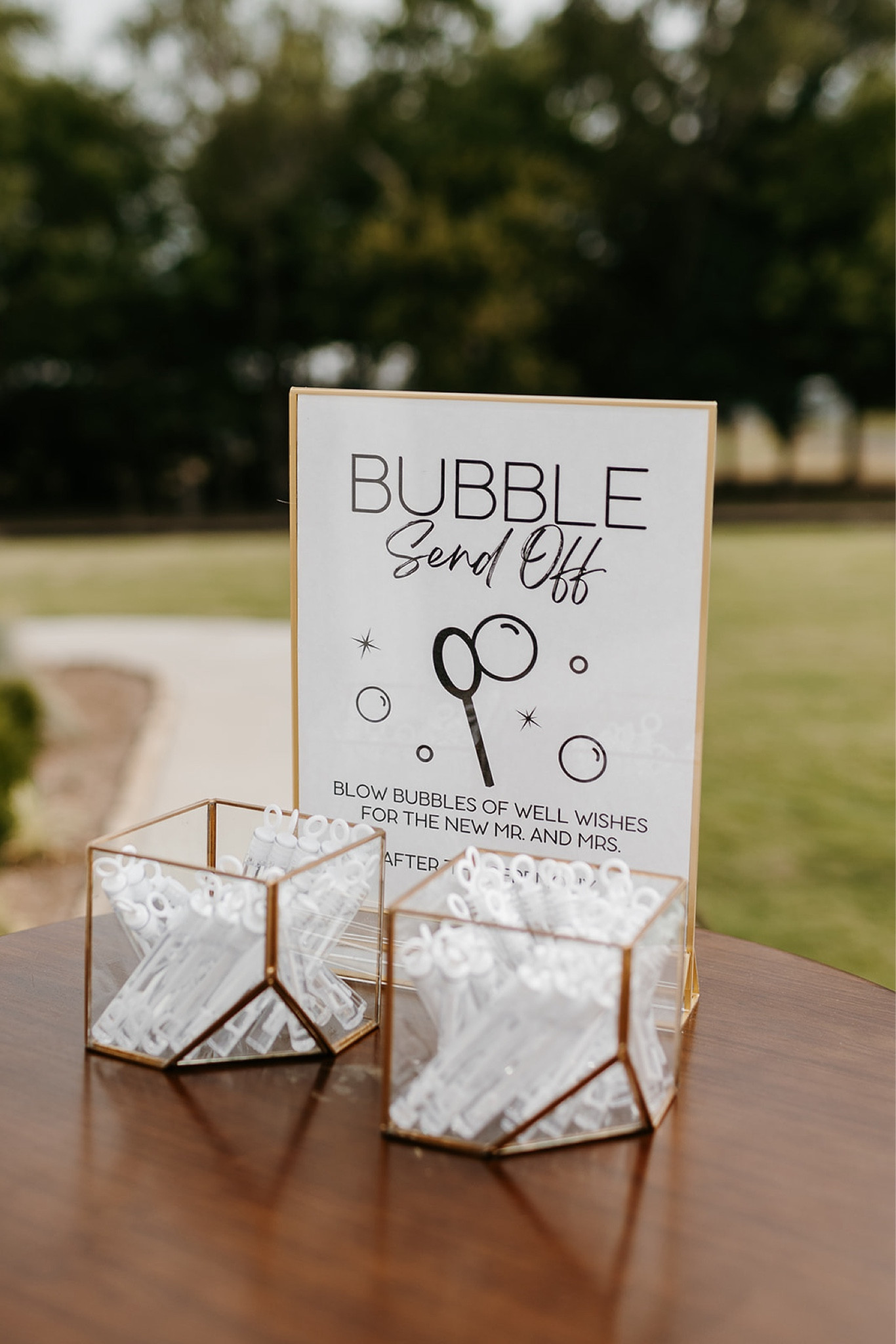 Wedding bubble send off sign 🫧 DIY wedding / DIY bride / wedding sign / wedding decor / gold frame / gold sign 

#LTKWedding #LTKParties #LTKFindsUnder100