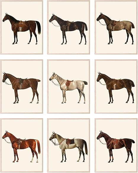 BigWig Prints Horse Wall Art - Horse Pictures Wall Decor, Horse Painting, Horse Art Wall Decor, H... | Amazon (US)