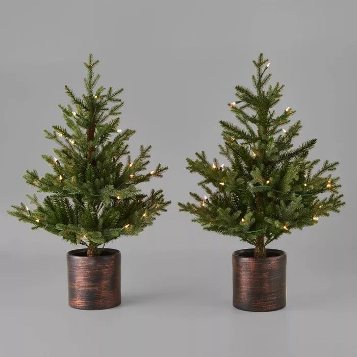 3ft/2pk Pre-Lit Balsam Fir Potted Artificial Christmas Tree Clear Lights - Wondershop™ | Target