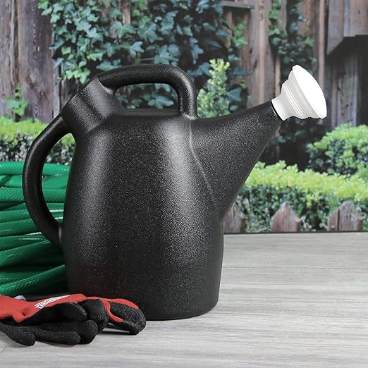 Chapin 47998: 2 Gallon Watering Can for Indoor & Outdoor Plants, 100% Recycled Plastic with Remov... | Amazon (US)