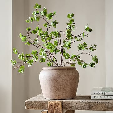 Faux Potted Wire Netting Bush Plant | West Elm | West Elm (US)