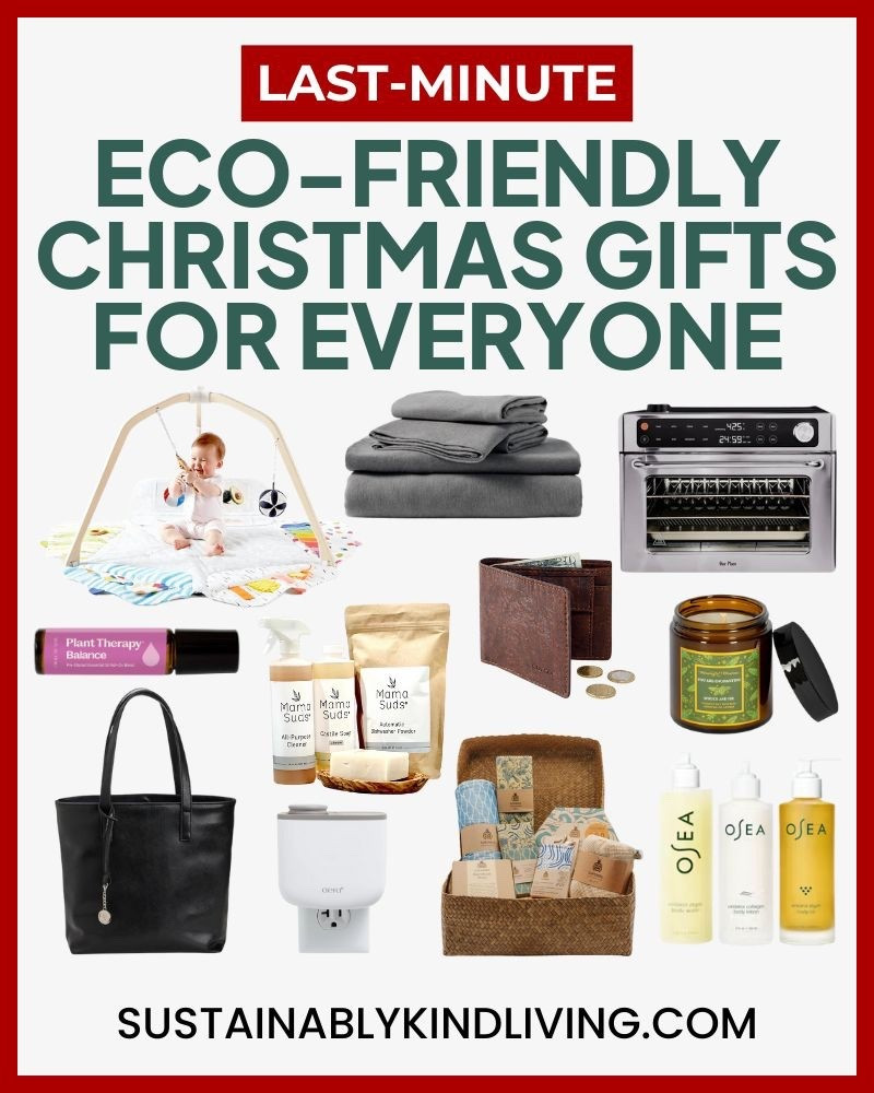 Celebrate Christmas with gifts that are better for your loved ones and the planet. 

These eco-friendly picks are sustainable, low-waste, and long-lasting — perfect for a mindful holiday season. 

#LTKHoliday #LTKGiftGuide