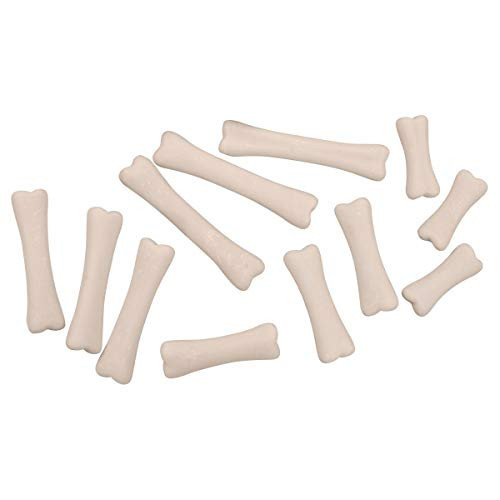 Yellow Door YUS1038 Dinosaur Bones Discovery Set (Pack of 12) | Amazon (US)