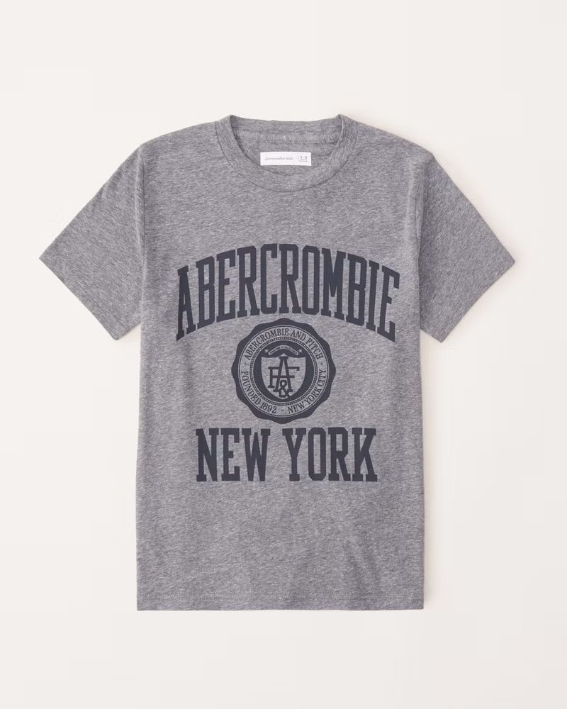 graphic logo tee | Abercrombie & Fitch (US)